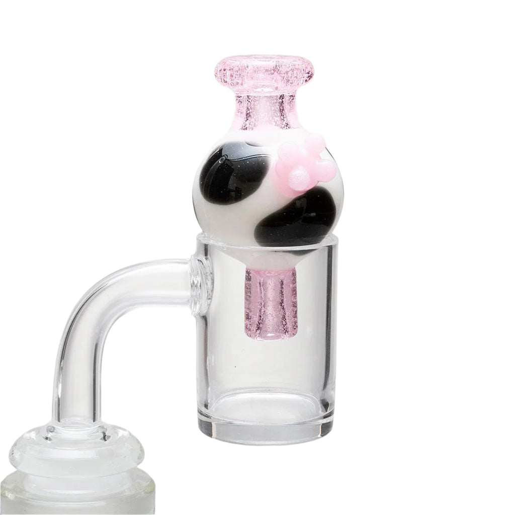 AIGB - Animal Print Bubble Caps - Aqua Lab Technologies