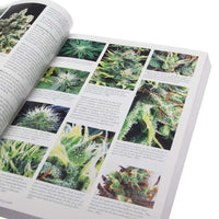 The Cannabis Encyclopedia by Jorge Cervantes - Aqua Lab Technologies