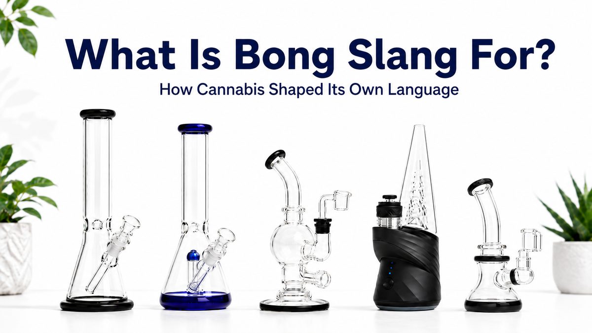 What is Bong Slang For?