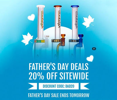 Shop Bongs and Water Pipes For Sale Online